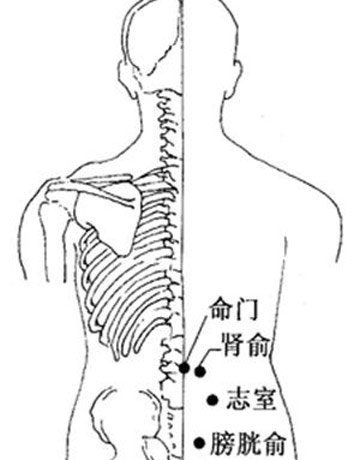 命门穴 命门穴
