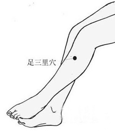 拍击足三里穴 拍击足三里穴
