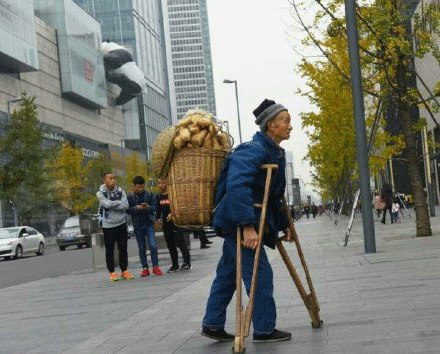 丝瓜,成都,全医堂