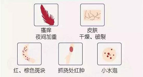 全医堂 全医堂