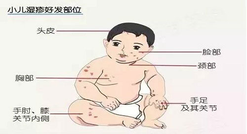 全医堂 全医堂