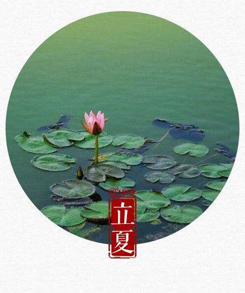 节气养生,立夏,全医堂