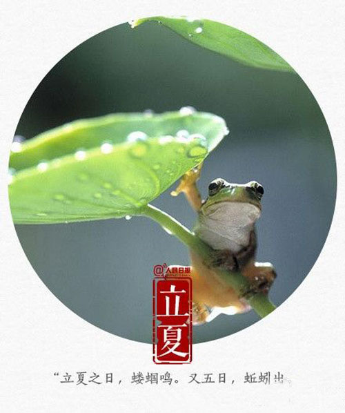 【节气养生】立夏养生更养心