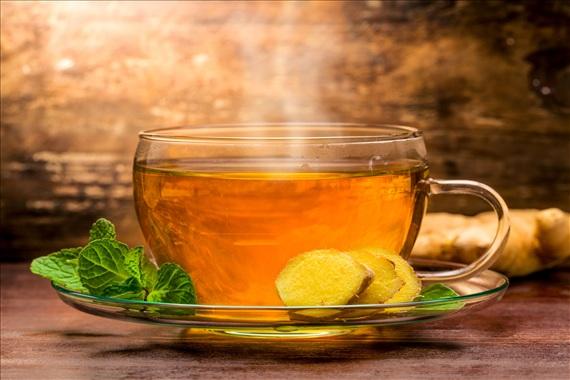 中医养生,全医堂 中医养生,全医堂