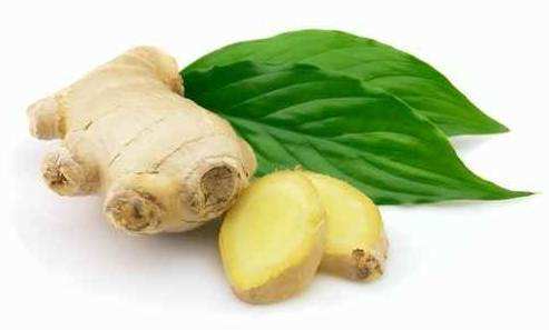 中医养生,全医堂 中医养生,全医堂