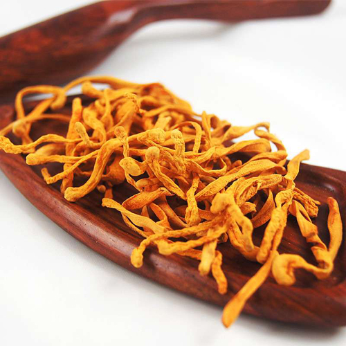 西洋参,全医堂,中医养生 西洋参,全医堂,中医养生