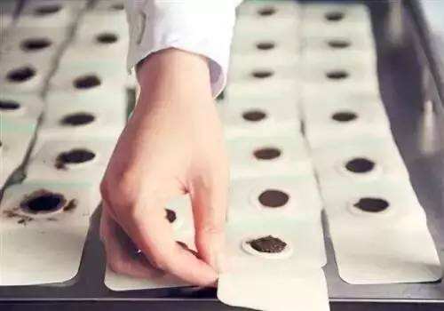 三伏贴,三伏灸,冬病夏治,全医堂 三伏贴,三伏灸,冬病夏治,全医堂