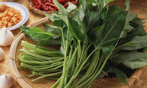 芒种,全医堂,养生攻略 芒种,全医堂,养生攻略