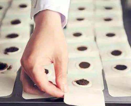 芒种,全医堂,养生攻略 芒种,全医堂,养生攻略