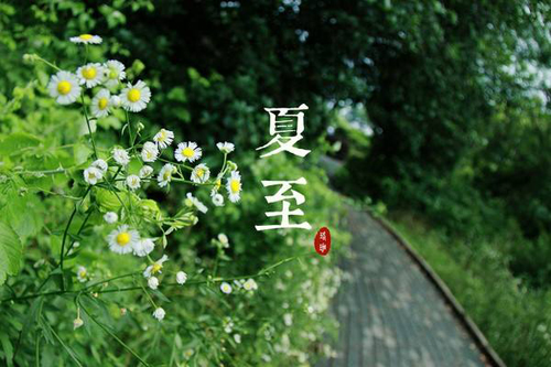 夏至养生,全医堂,三伏贴 夏至养生,全医堂,三伏贴