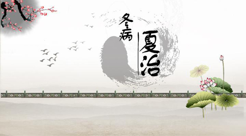 三伏天,夏季养生,三伏贴,全医堂 三伏天,夏季养生,三伏贴,全医堂