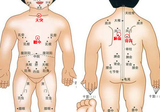 穴位敷贴,三伏贴,中医养生,全医堂 穴位敷贴,三伏贴,中医养生,全医堂