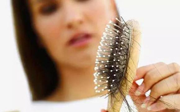 掉发,全医堂,中医养生 掉发,全医堂,中医养生