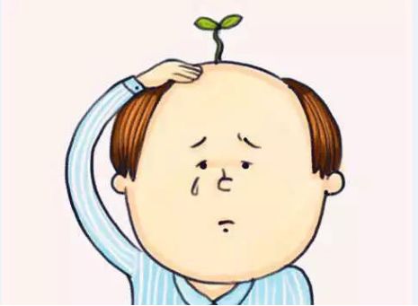 掉发,全医堂,中医养生 掉发,全医堂,中医养生