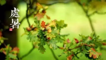 处暑,中医养生,全医堂 处暑,中医养生,全医堂