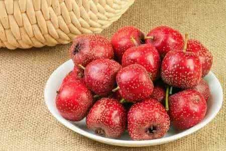 处暑,中医养生,全医堂 处暑,中医养生,全医堂