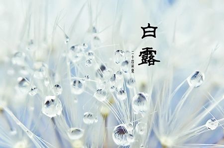 白露,节气养生,全医堂 白露,节气养生,全医堂